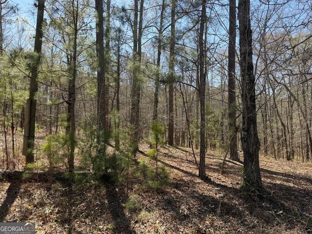 1430 Cleveland Farm Rd, Locust Grove, GA 30248