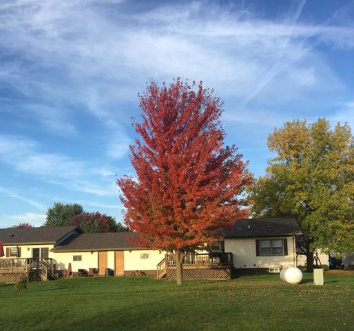 1116 Sunset Ave, Kelley, IA 50134