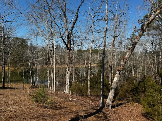 301 Pike Point, Mc Cormick, SC 29835
