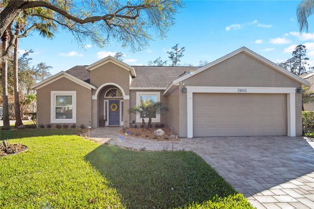2803 Runyon Cir, Orlando, FL 32837