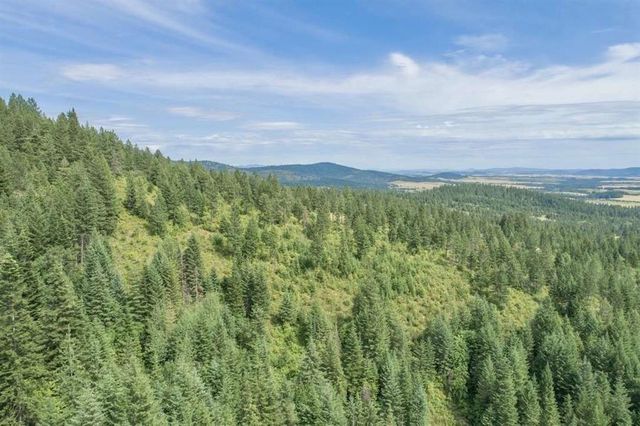 11507 S  Alpine Fern Ln, Rockford, WA 99030