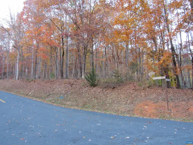 10 Rodes Valley Dr, Nellysford, VA 22958
