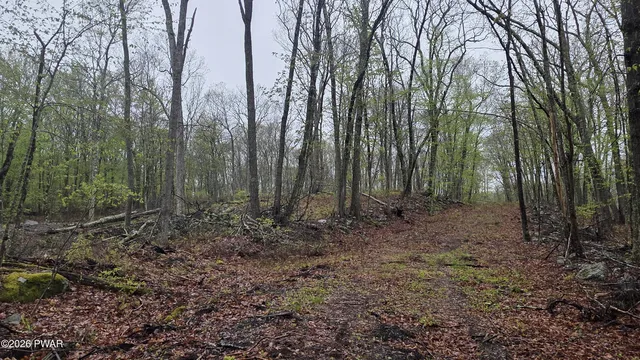 1 White Birch Ln, Hawley, PA 18428