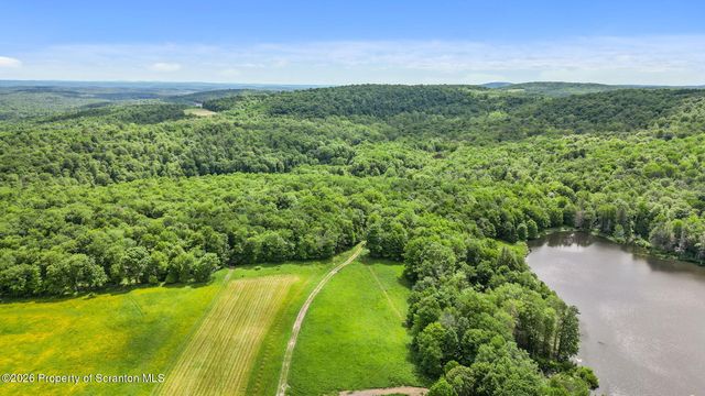 Skinny Dip Ln, Pleasant Mount, PA 18453