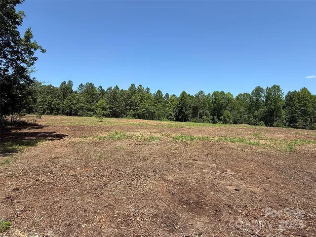 County Line Rd, Rutherfordton, NC 28139