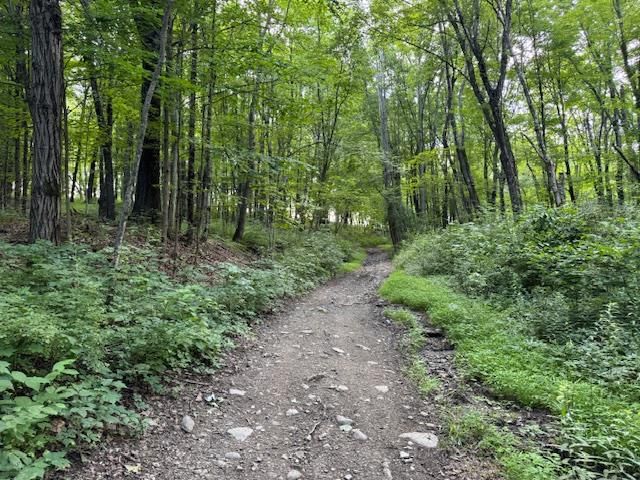 Manor Drive W & Arlene Road, Lagrangeville, NY 12540