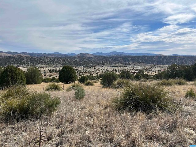9 Poncho Rd, Mimbres, NM 88049