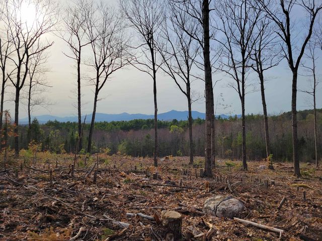 238-1-1.3 Maple Grove Road, Madison, NH 03849