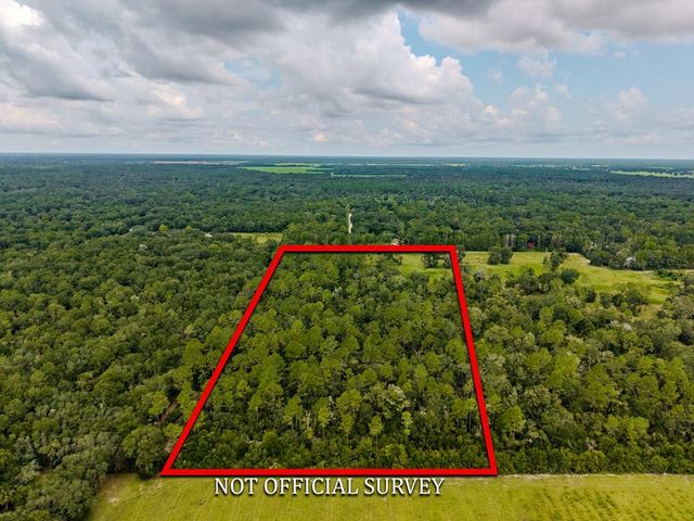  NE 580th St, Old Town, FL 32680