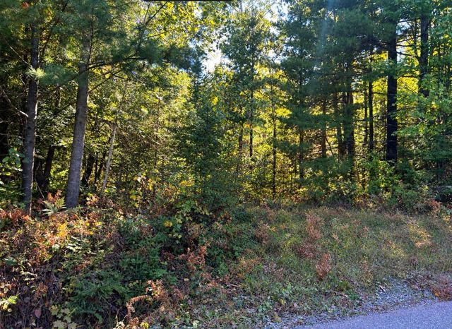 N  Tower Rd, Winter, WI 54896