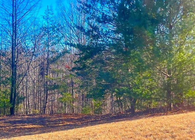 Lot 64 Sweetwater Rd, Boomer, NC 28606