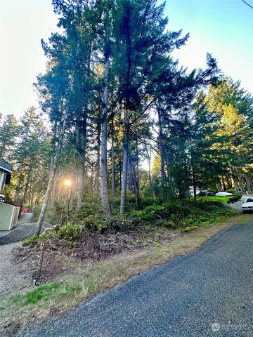 10510 Olympic Place, Anderson Island, WA 98303
