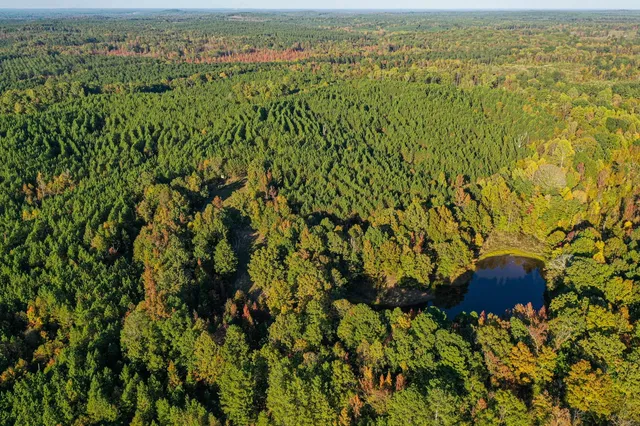 County Road 107, Pittsboro, MS 38951