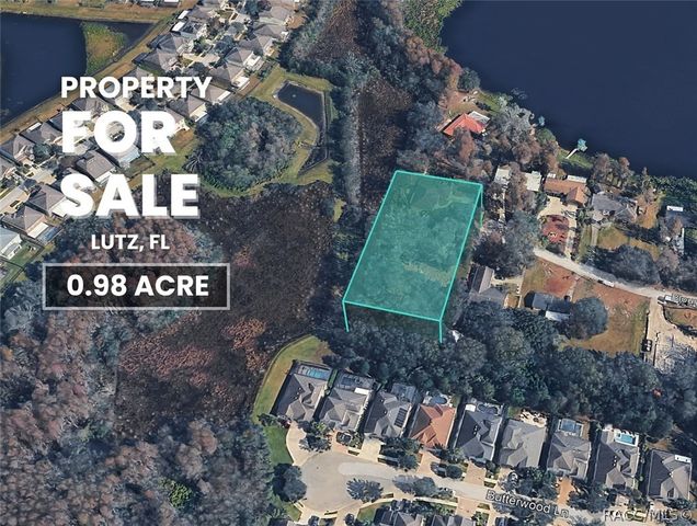 Blount Rd, Lutz, FL 33558
