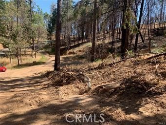 11345 Concow Rd, Oroville, CA 95965