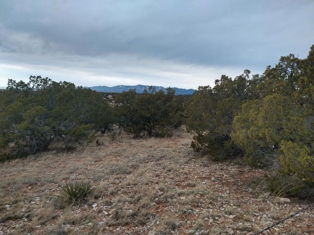 TRACT Eight Bridle Path Loop, Mountainair, NM 87036