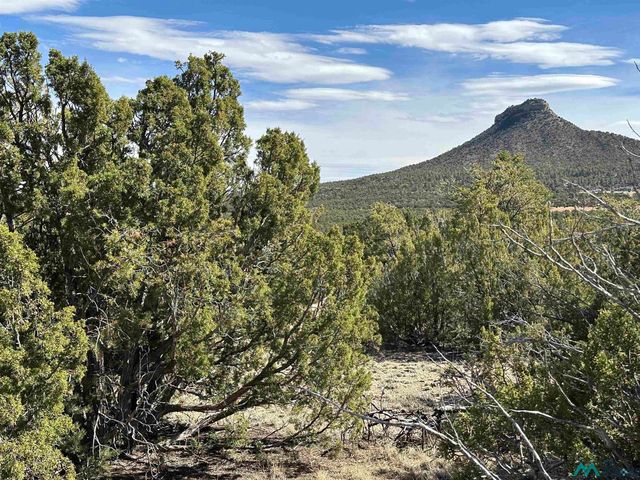 Frontage Rd #2116, Serafina, NM 87569