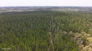 Tract 6418 Mattox Springs Rd #S3, Caryville, FL 32427