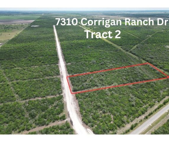 7310 Corrigan Ranch Dr   #2, Skidmore, TX 78389