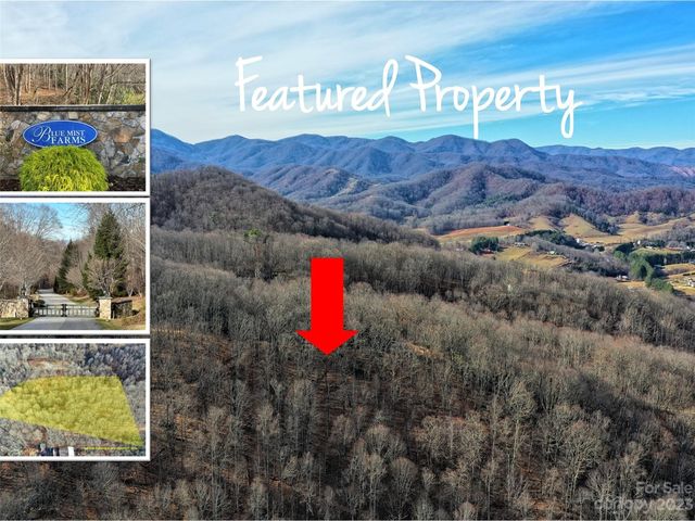 221 View Ridge Pkwy #74, Leicester, NC 28748