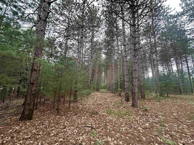 52+/-acres Happersett Lane, Redgranite, WI 54970