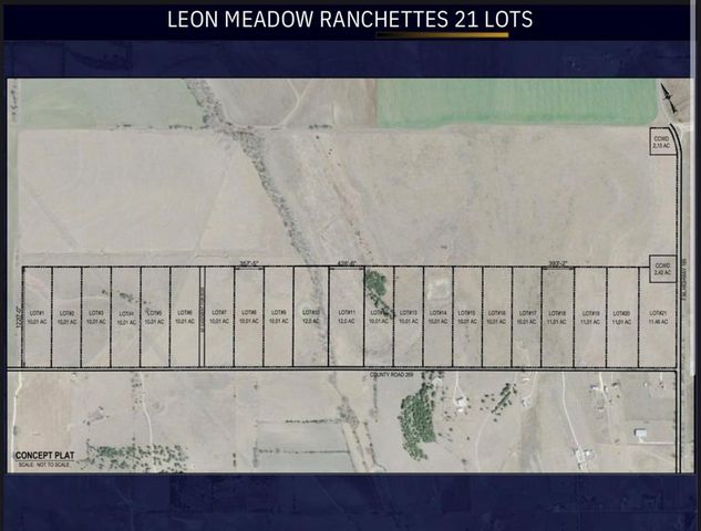 Lot 1 0 County Rd   #269, Oglesby, TX 76561