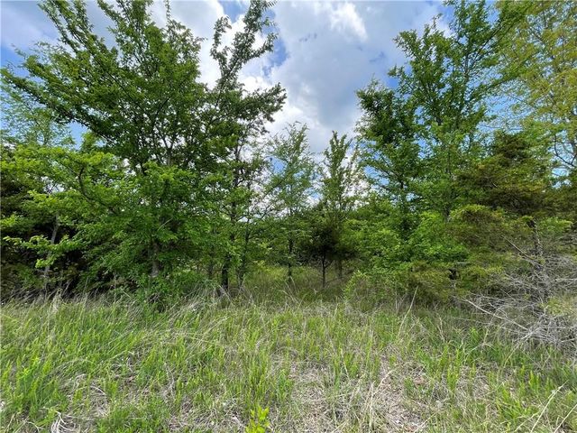 Posy Mountain Drive Drive 319 #319, Garfield, AR 72732