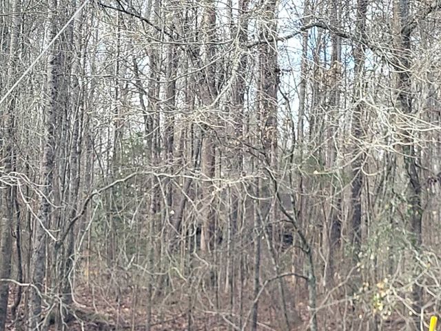 955 Joe Stephens Rd, Franklin, GA 30217