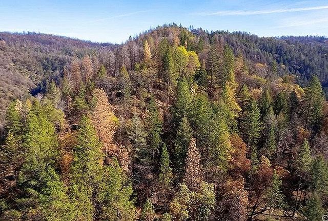 Toomes Camp Rd, Red Bluff, CA 96080