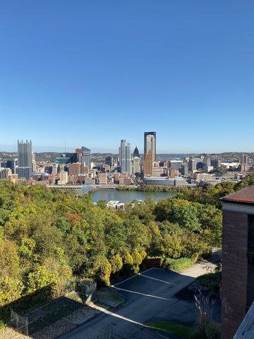428 William St #1, Mount Washington, PA 15211
