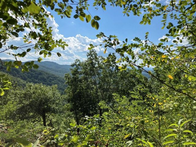10 Brasstown Rd, Murphy, NC 28906