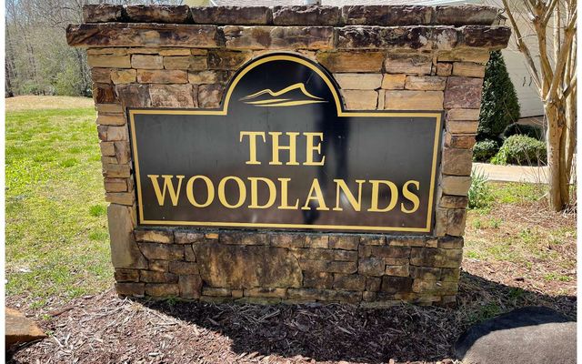 Lot4e The Woodlands, Hayesville, NC 28904