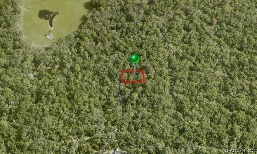 3979 S  Curlew Ter, Inverness, FL 34450