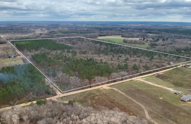 86/ACRE S  New Hinson Rd, Slocomb, AL 36375