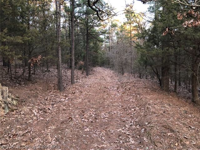 Tbd County Line Rd, Booneville, AR 72927