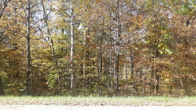 Lot 17 Pine Island Point Dr, Browerville, MN 56438