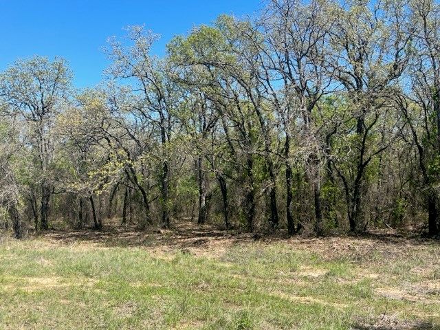 Private Road 3858, Poolville, TX 76487