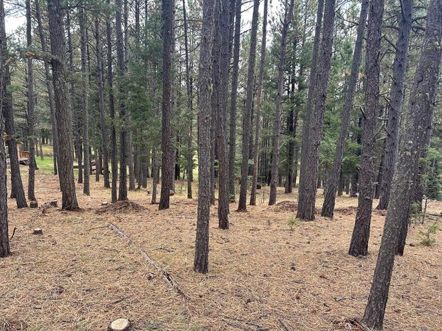 Lot 870 Conchas Dr, Angel Fire, NM 87710