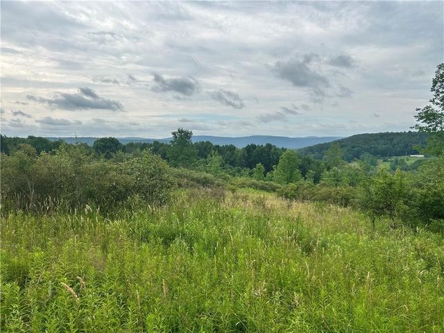 Sisson Hill Rd #8, Unadilla, NY 13849