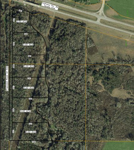 Parcel 6 State Highway 84, Collins, MS 39428