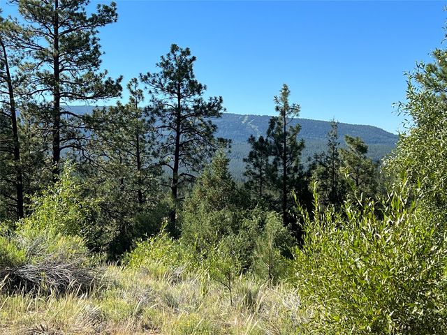 Badger Rd   #5, Chama, NM 87520
