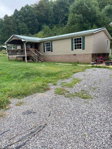 270 Mountainview Dr, Flatwoods, WV 26621