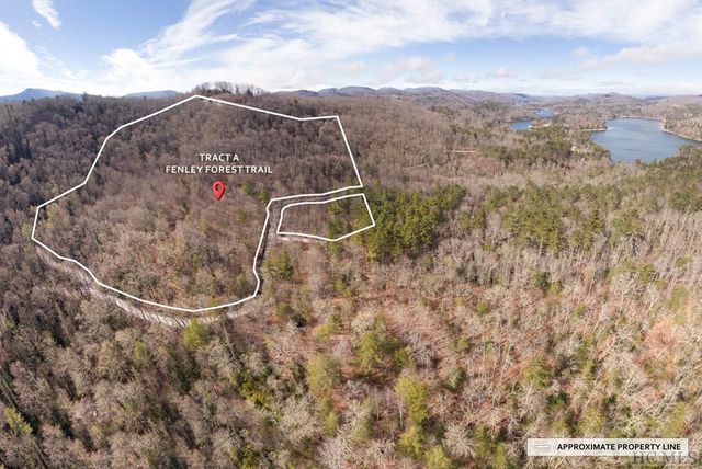 TRACT Fenley Forest Trl  #A, Cullowhee, NC 28723