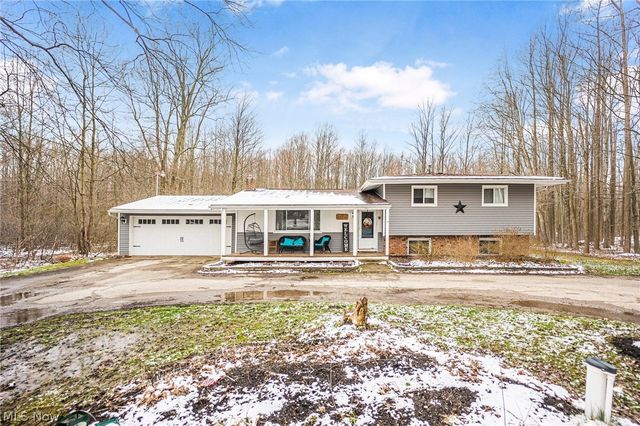 6446 Indian Point Rd, Painesville, OH 44077