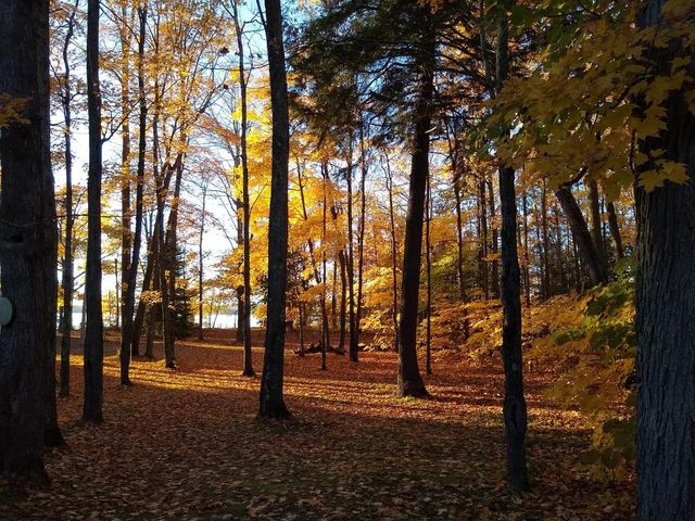 Lot 1 Sunset Cove Ln   #1, Phelps, WI 54554