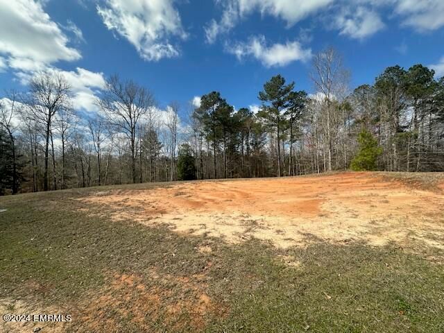 Ruth Ln, Collinsville, MS 39325