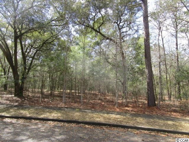 35 Serenity Park Ln Lot 19 Harmony Old Town, Georgetown, SC 29440