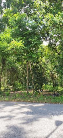 Ne Blvd #2, Gainesville, FL 32601