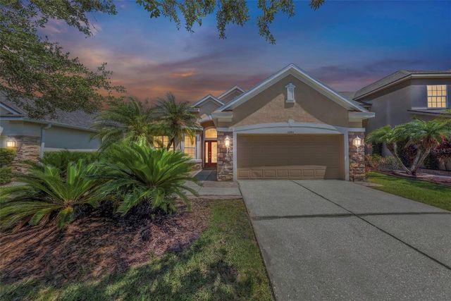 11243 BLACKSMITH DRIVE, Tampa, FL 33626