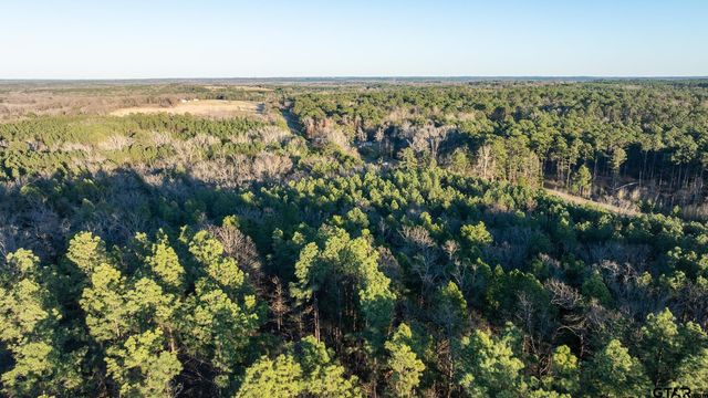 N  Tract Hwy #64, Ben Wheeler, TX 75754